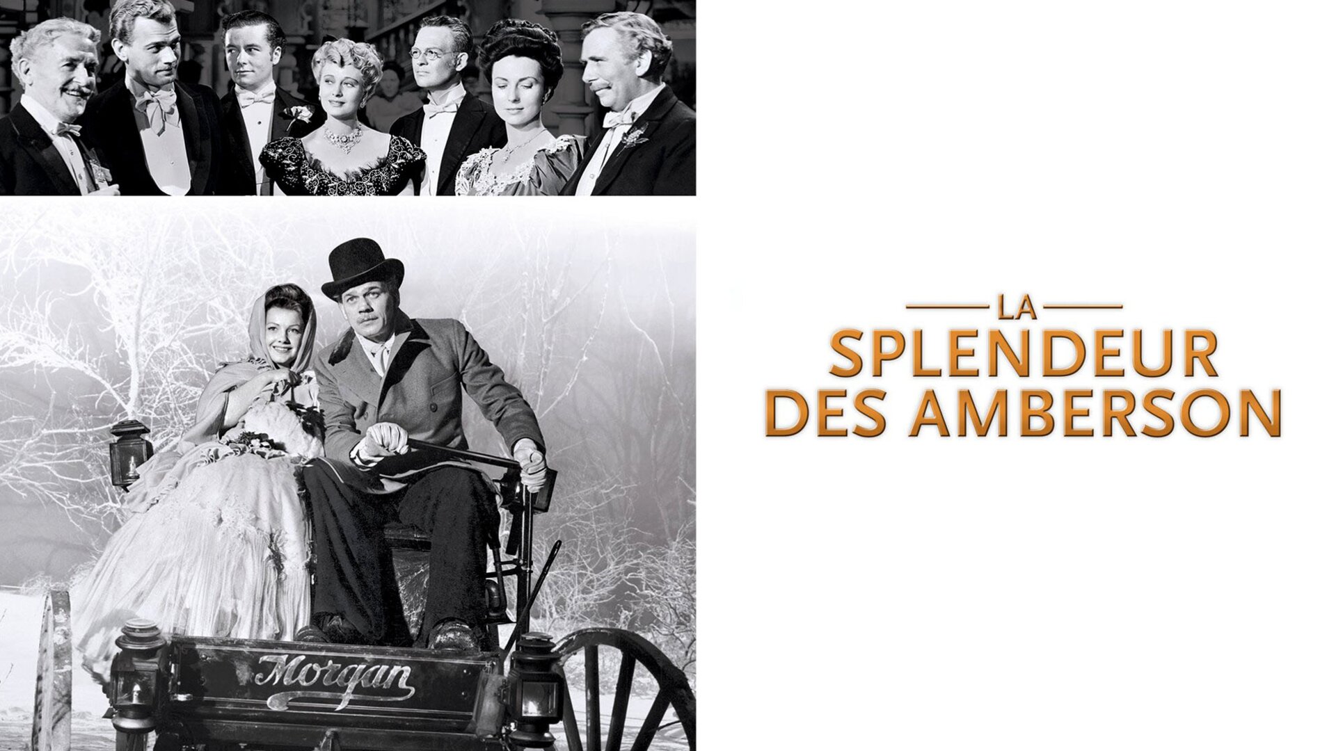 La splendeur des Amberson