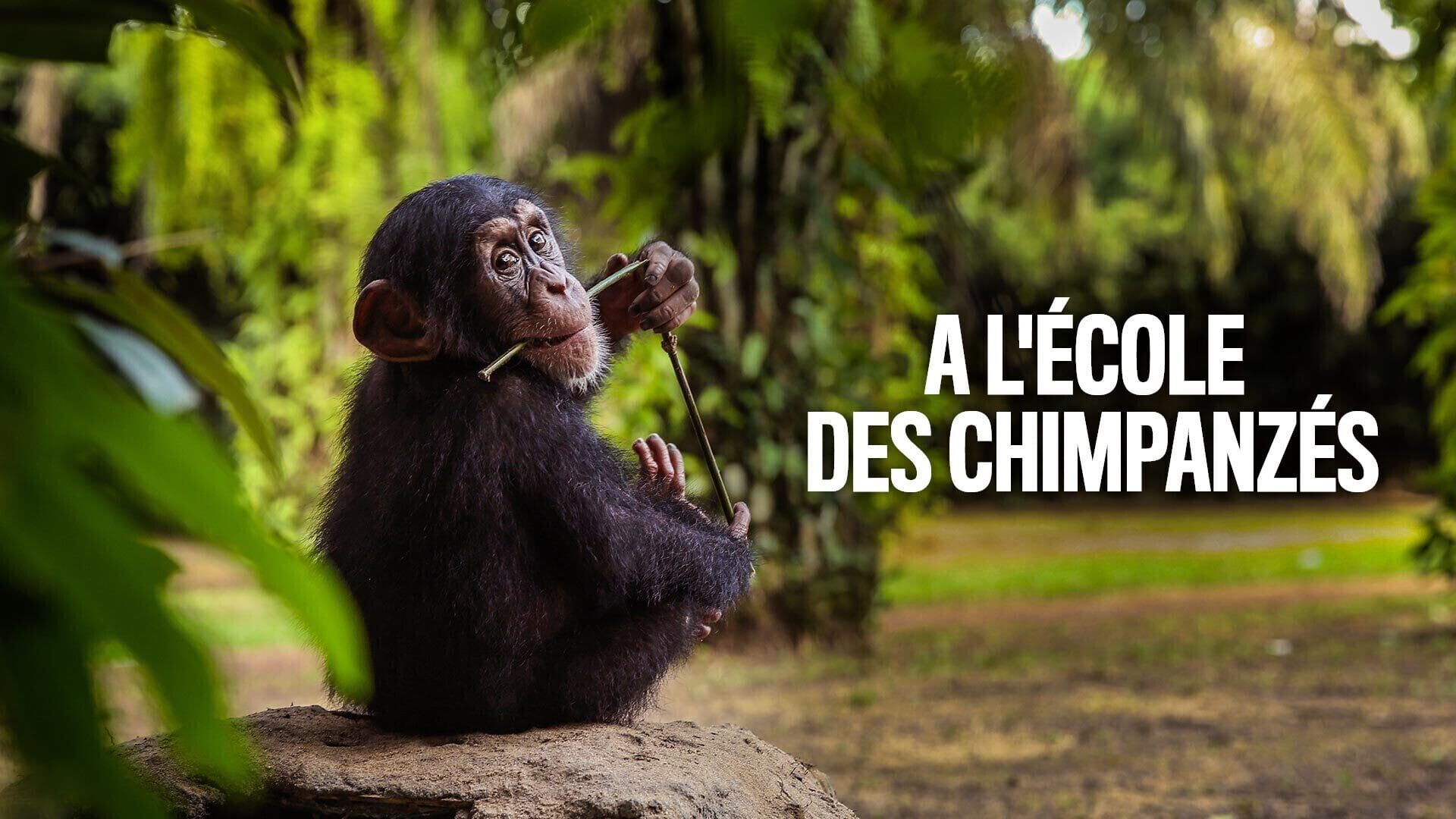 Coup de coeur au refuge