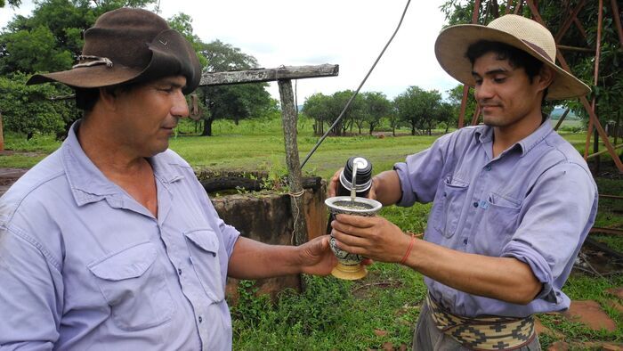 Le maté, l'élixir des Argentins