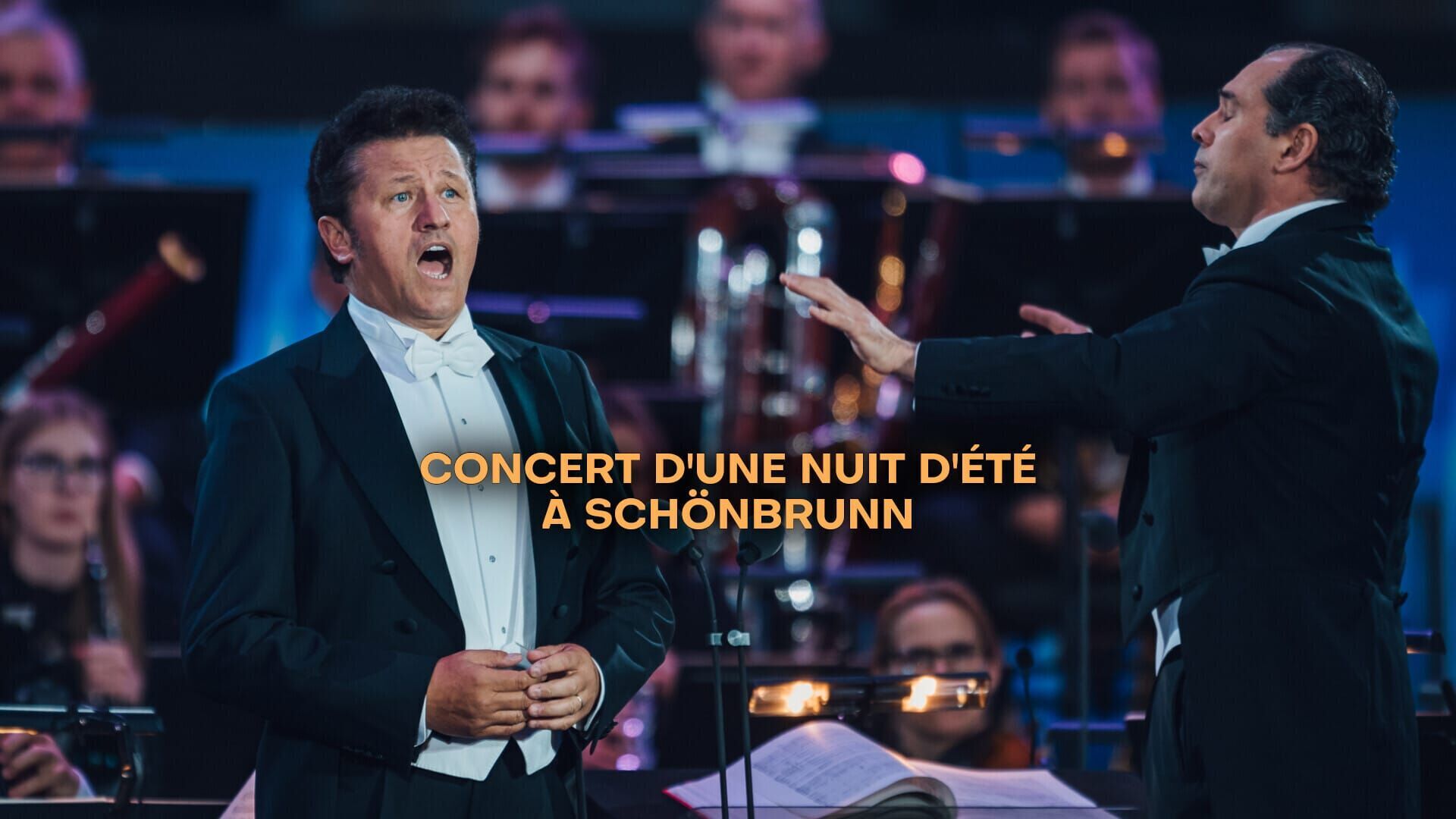 Concert d'une nuit d'été à Schönbrunn