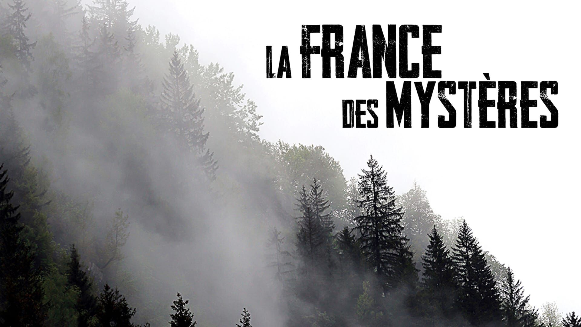 Sur les traces de la Première Guerre mondiale, bunkers et souterrains