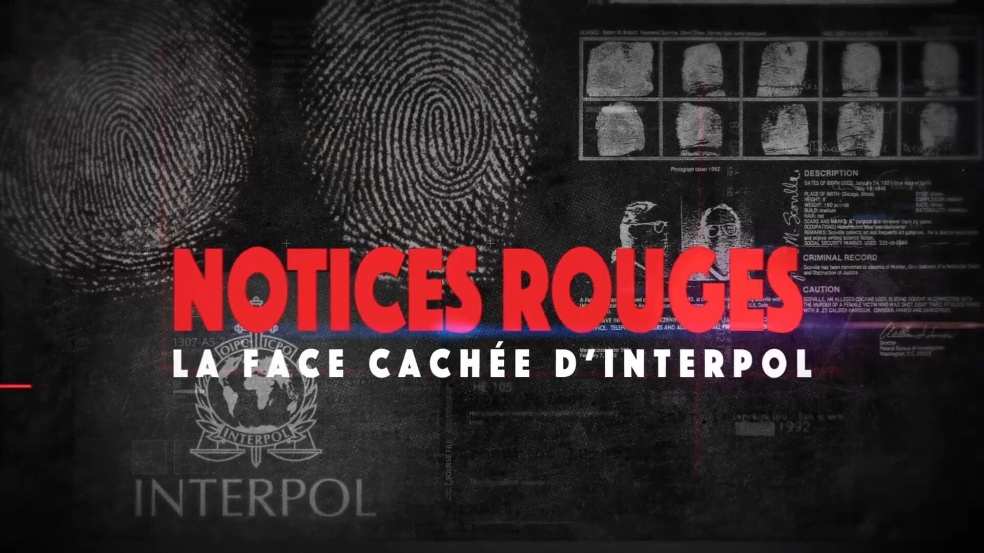 Notices rouges. La face cachée d'Interpol