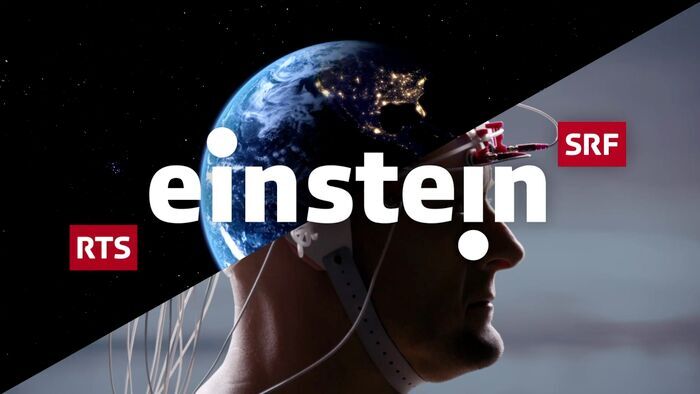 Des animaux plus intelligents qu'on ne le pense ?