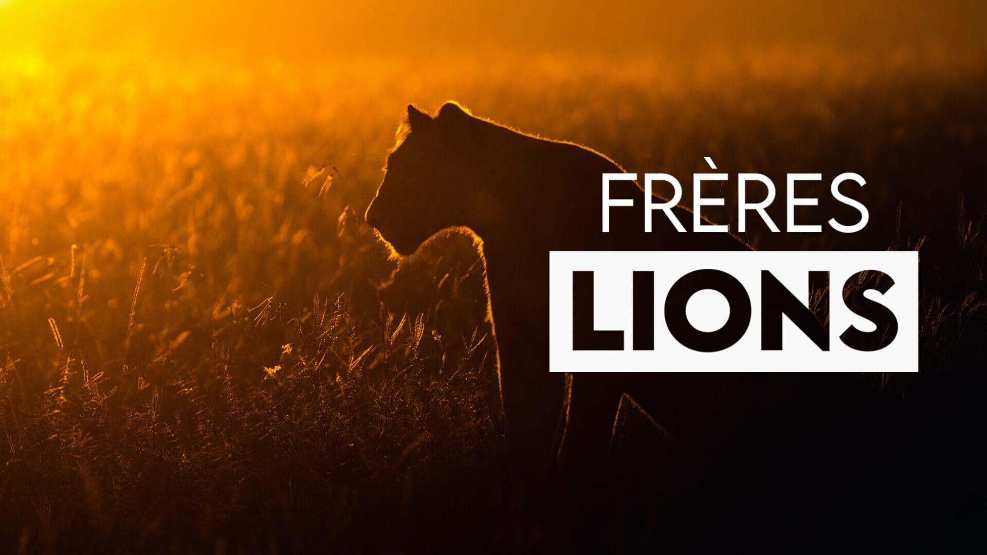 Une période de prospérité