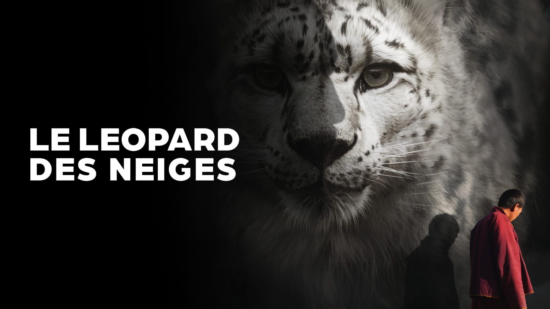 Le Léopard des neiges