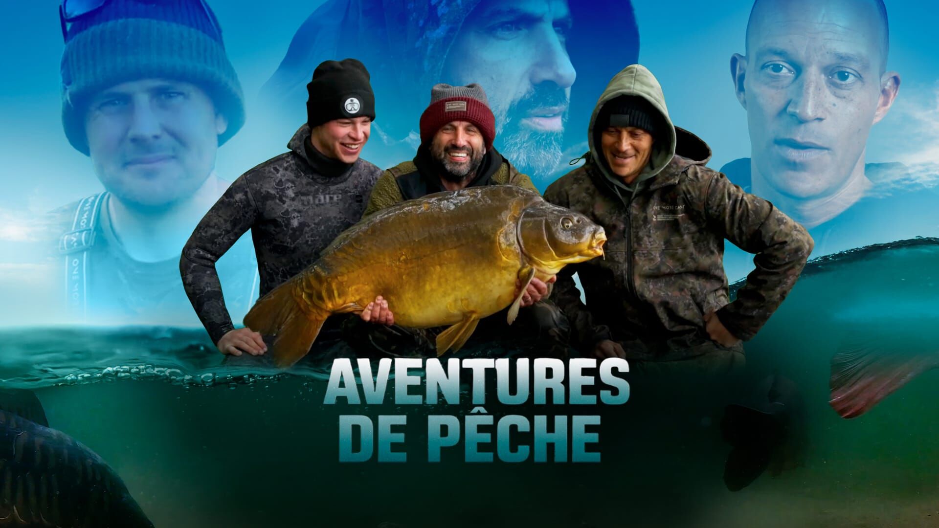 Carassins et carpes