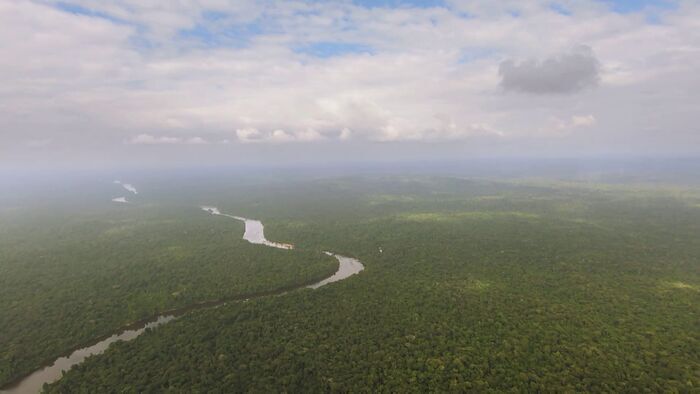 Suriname : le taxi brousse de l'Amazonie