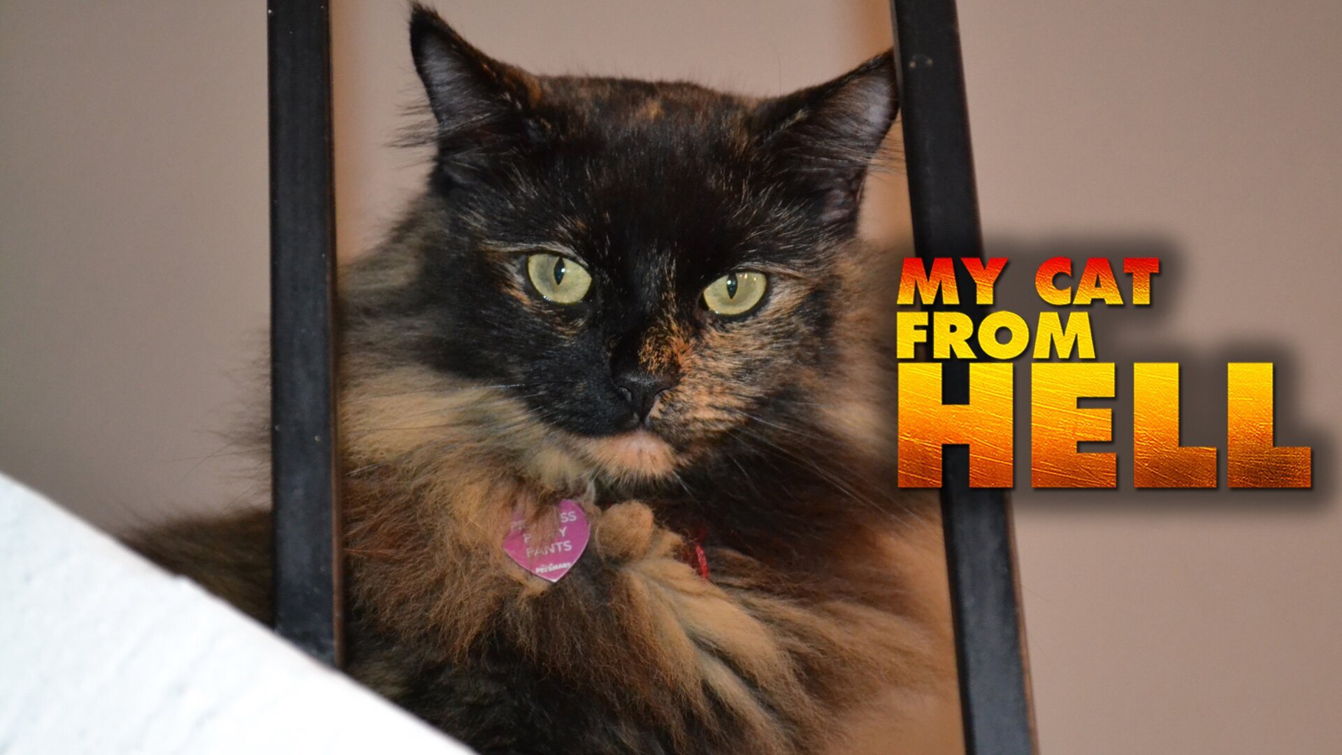 Sourde, aveugle et agressive