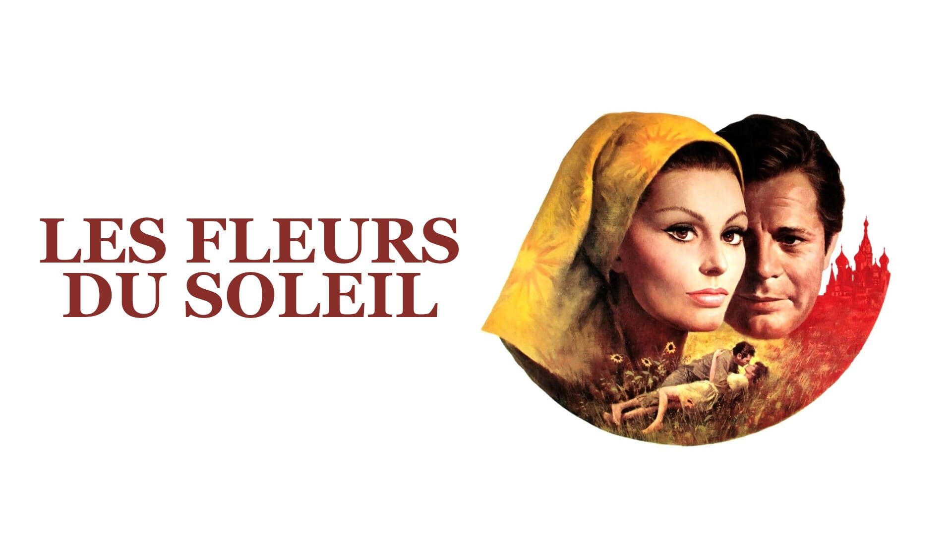 Les fleurs du soleil
