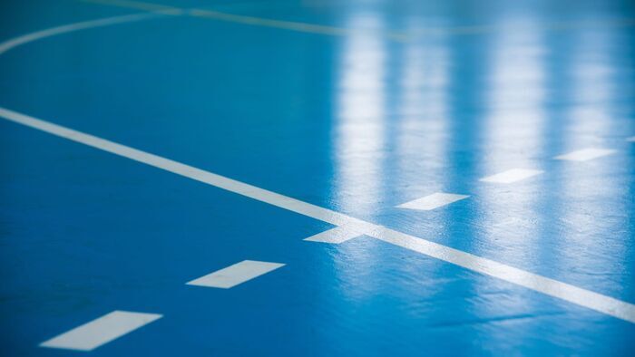 Handball : Trophée des champions