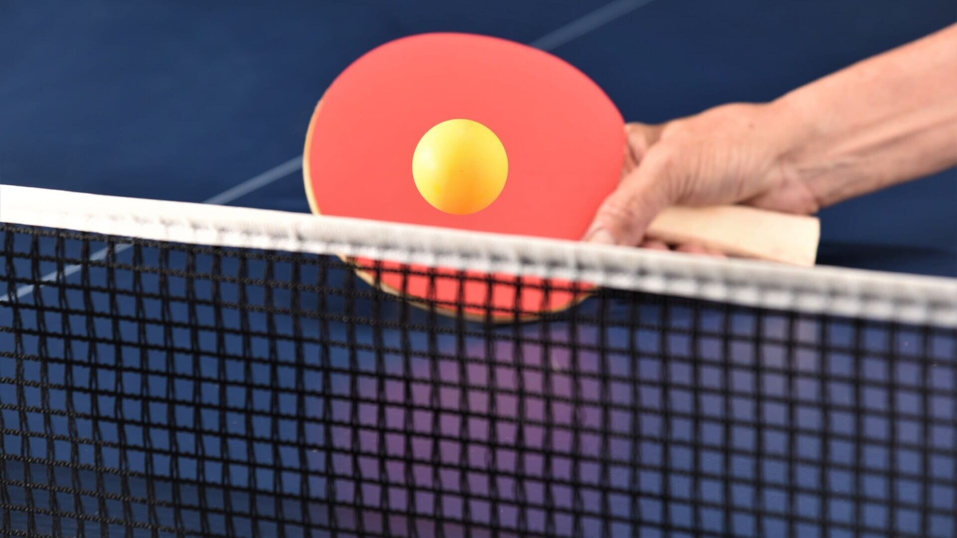 Tennis de table : Top 16 européen