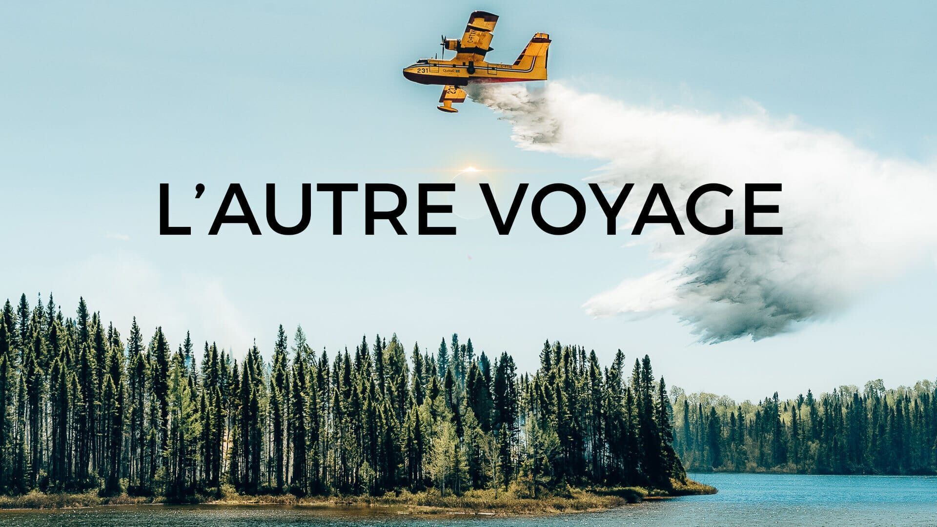 Québec : cris et silences de la forêt