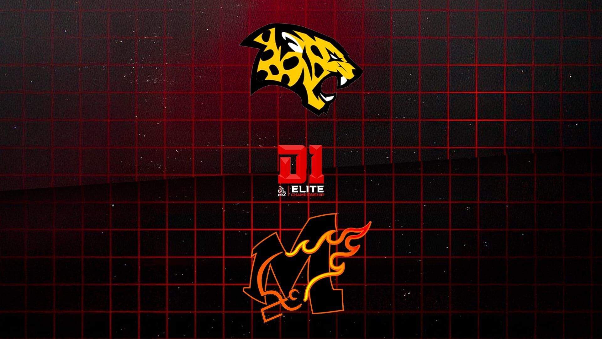 Football américain : Championnat élite division 1