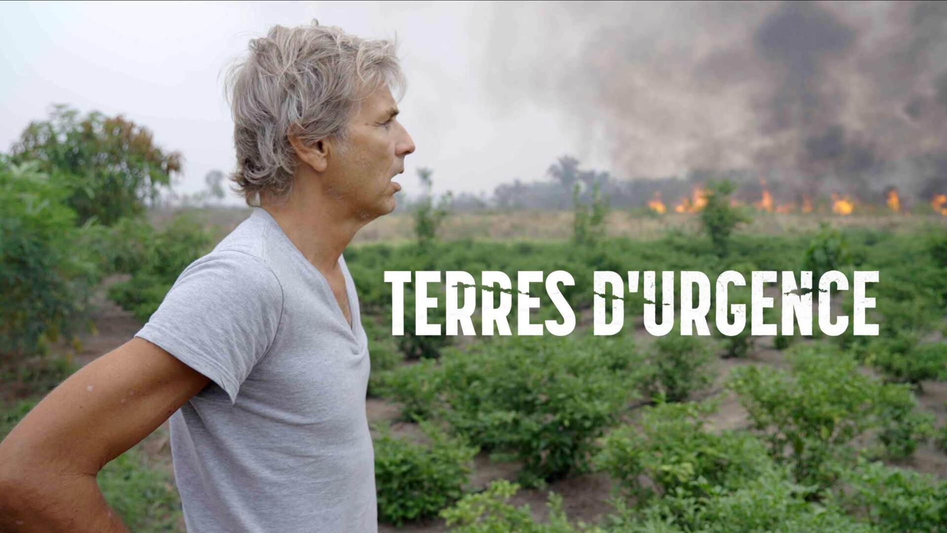 Amazonie : le combat pour la biodiversité