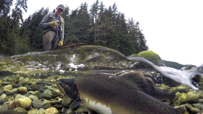 Canada, le vieil homme et la rivière