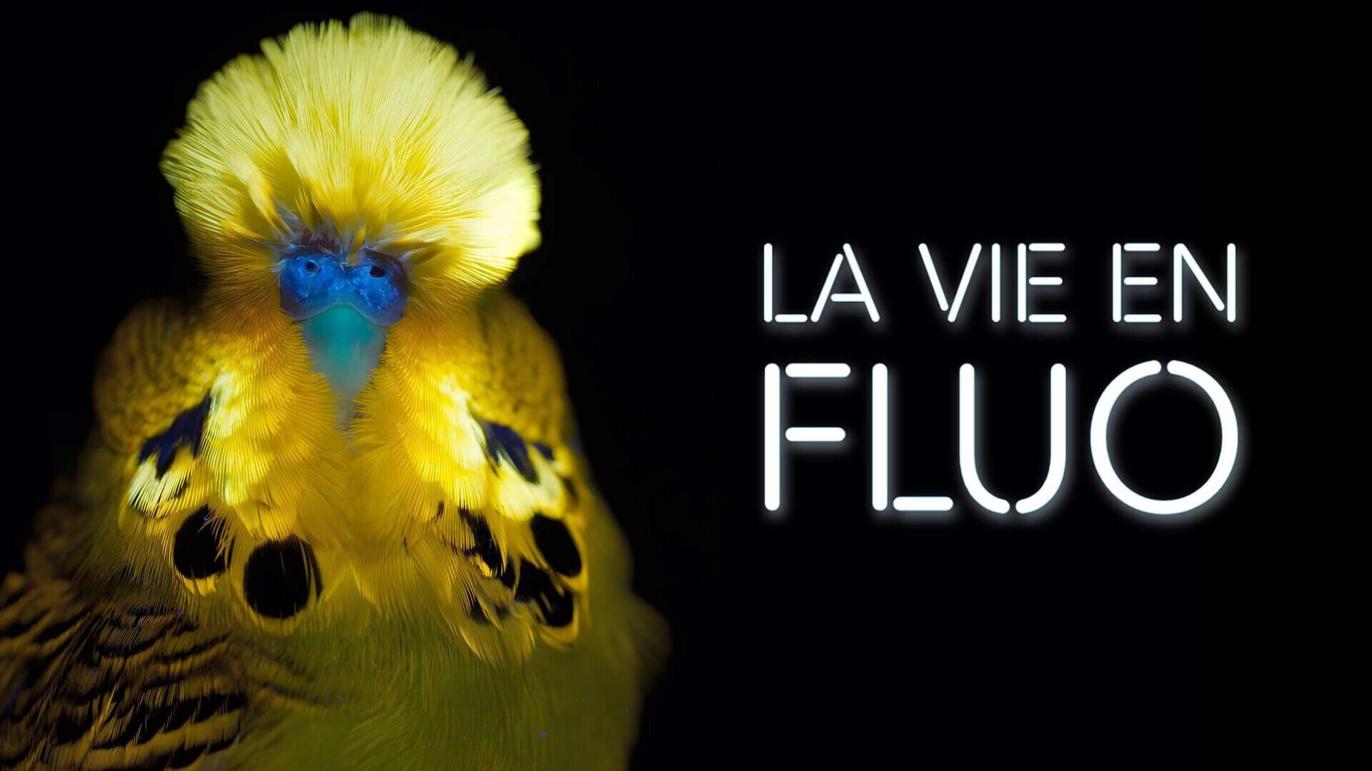 La vie en fluo