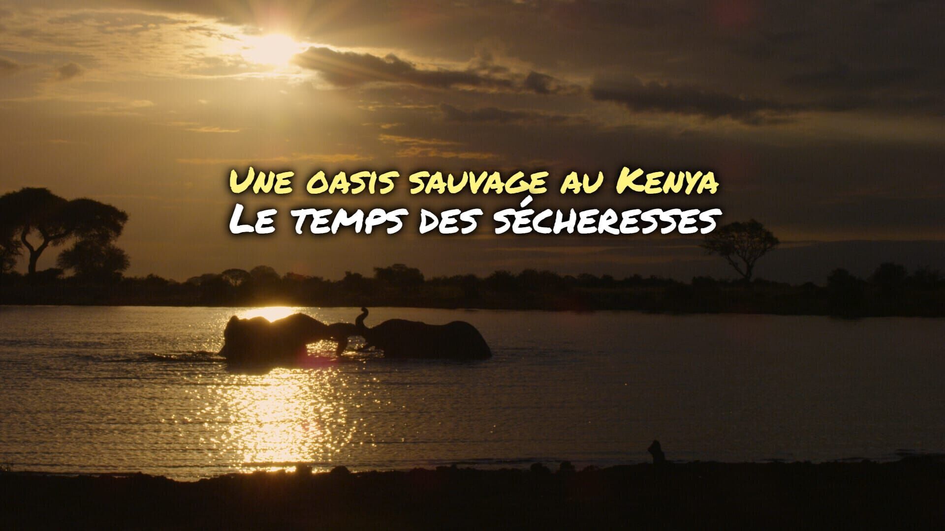 Kampf ums Überleben