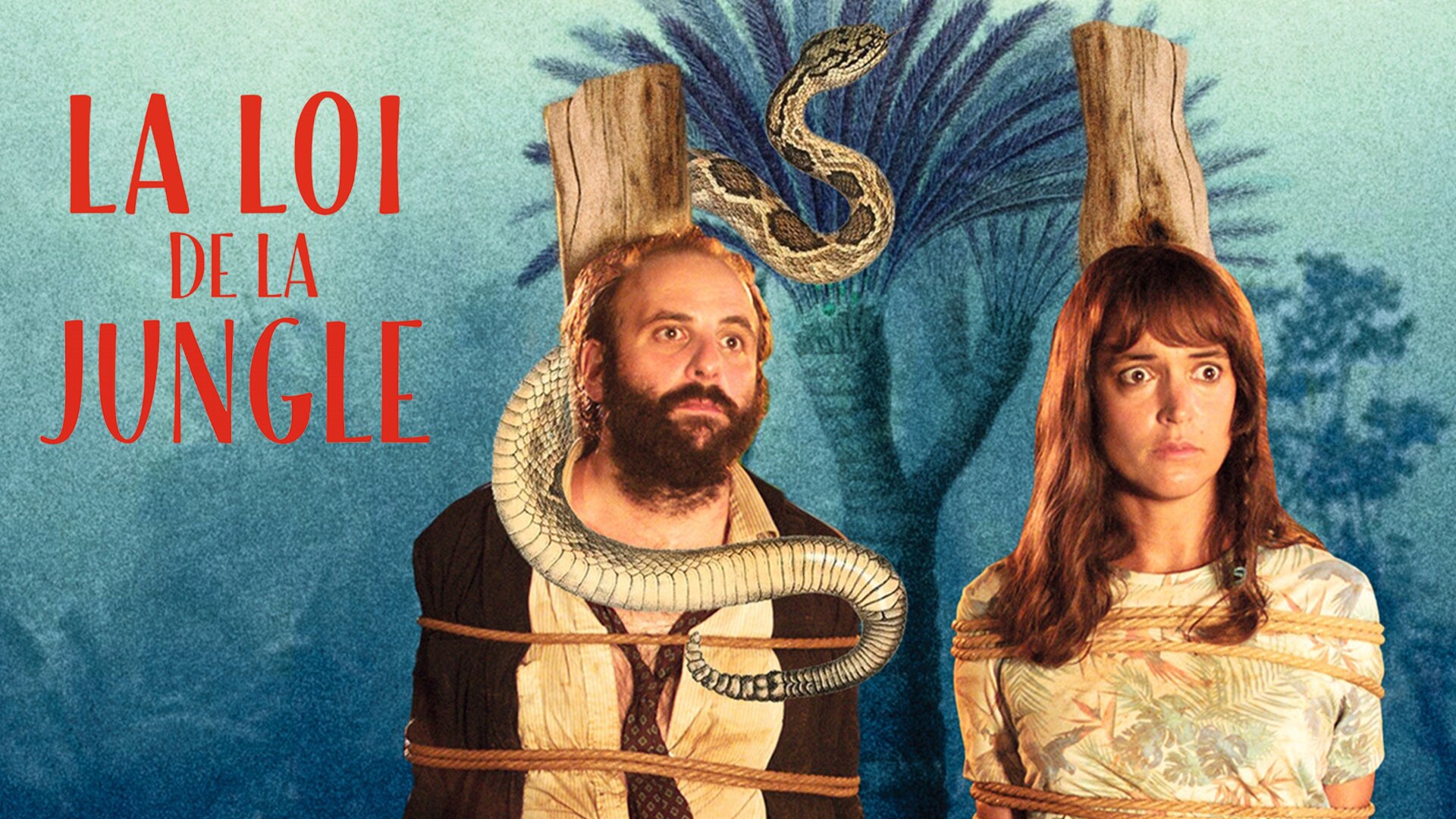 La loi de la jungle