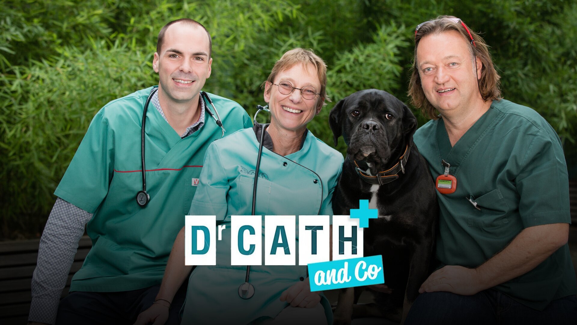 Dr Cath & Co