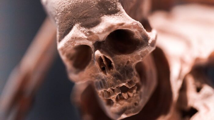 Histoire de la mort