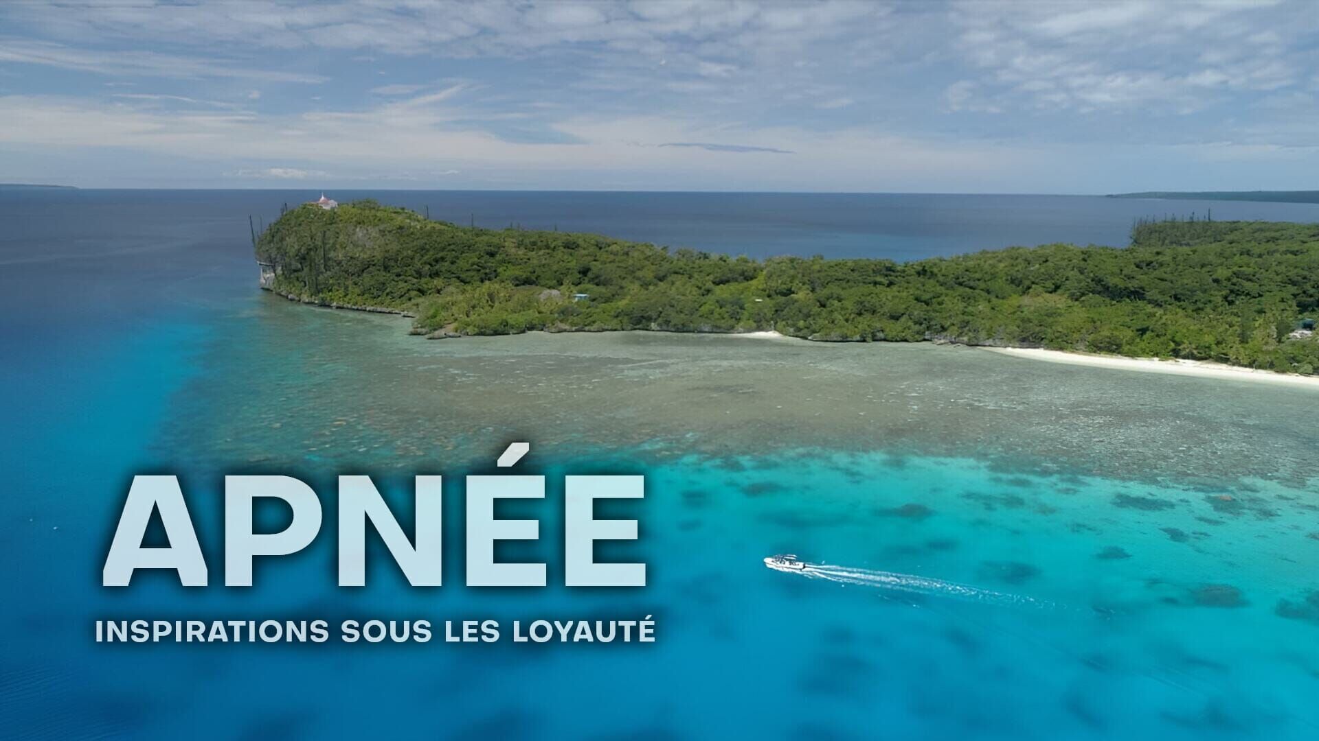 Apnée : inspirations sous les Loyauté
