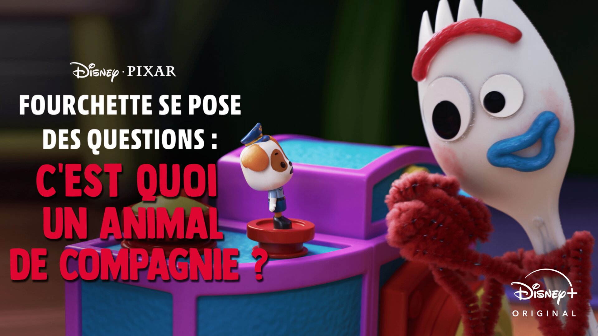 C'est quoi un animal de compagnie ?