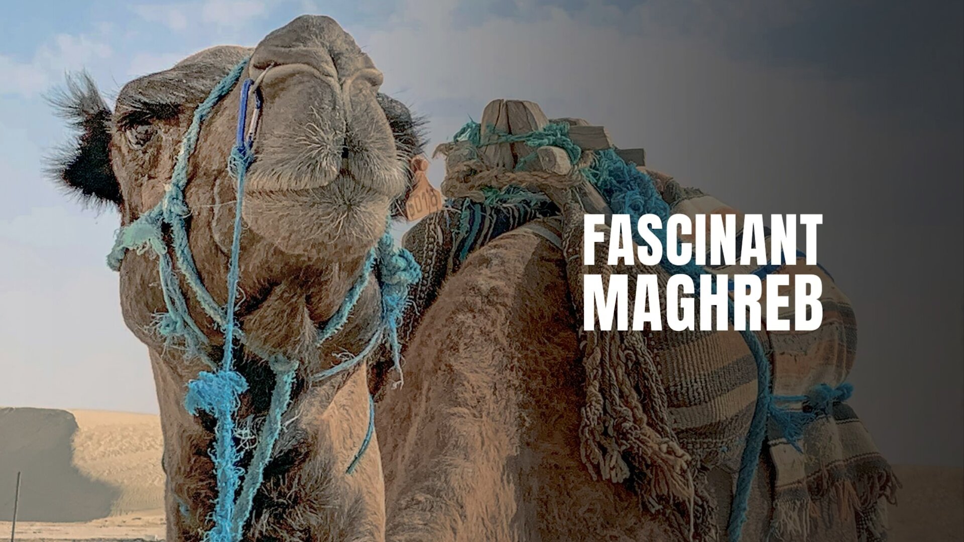 Fascinant Maghreb