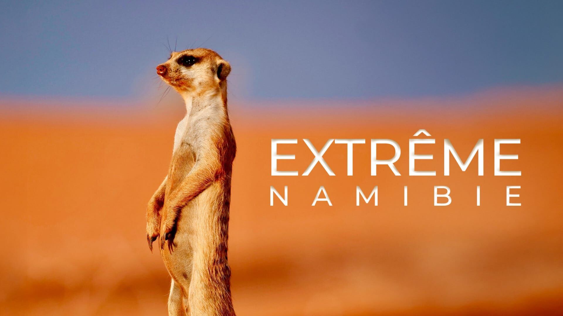 Survivre aux confins de l'extrême