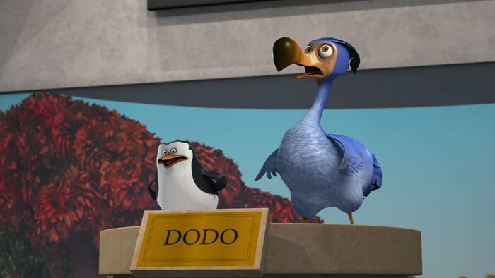 Le tunnel. - Dodo contre dodo