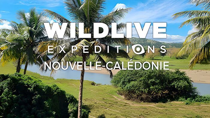 Nouvelle-Calédonie
