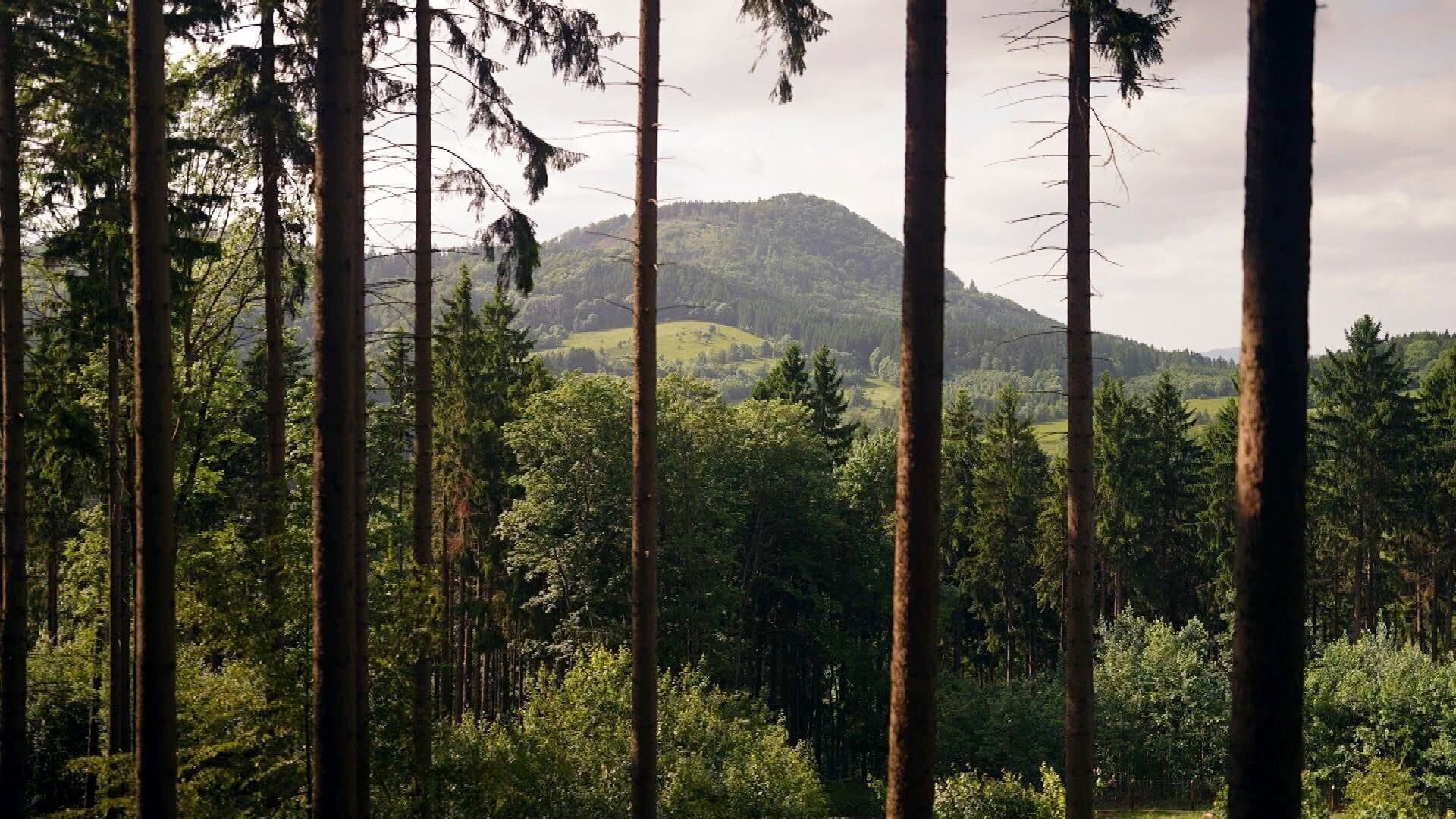 Invitation au voyage