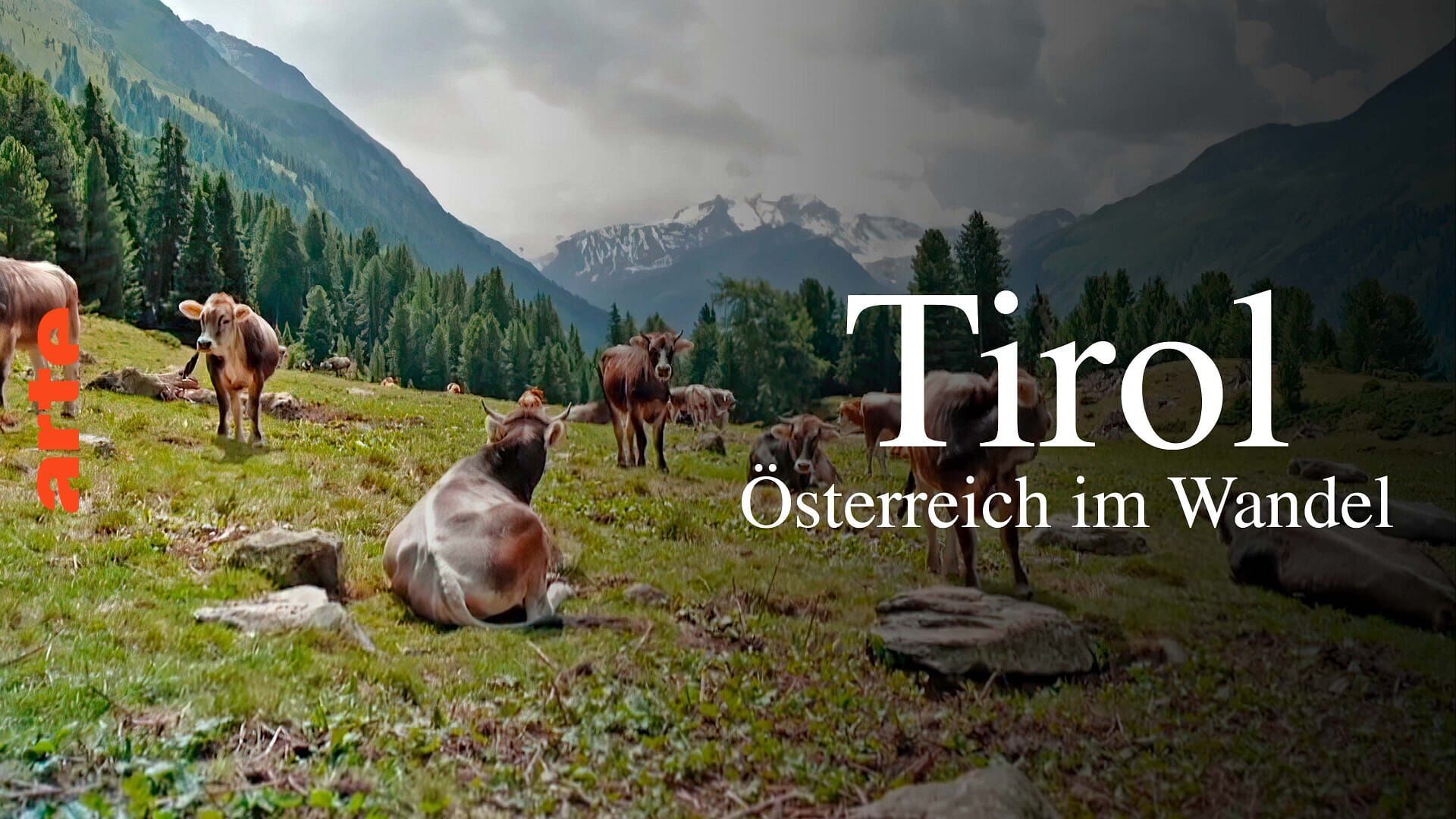 Le Tyrol et les montagnes