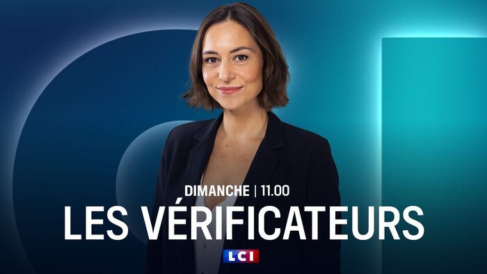 Les Vérificateurs