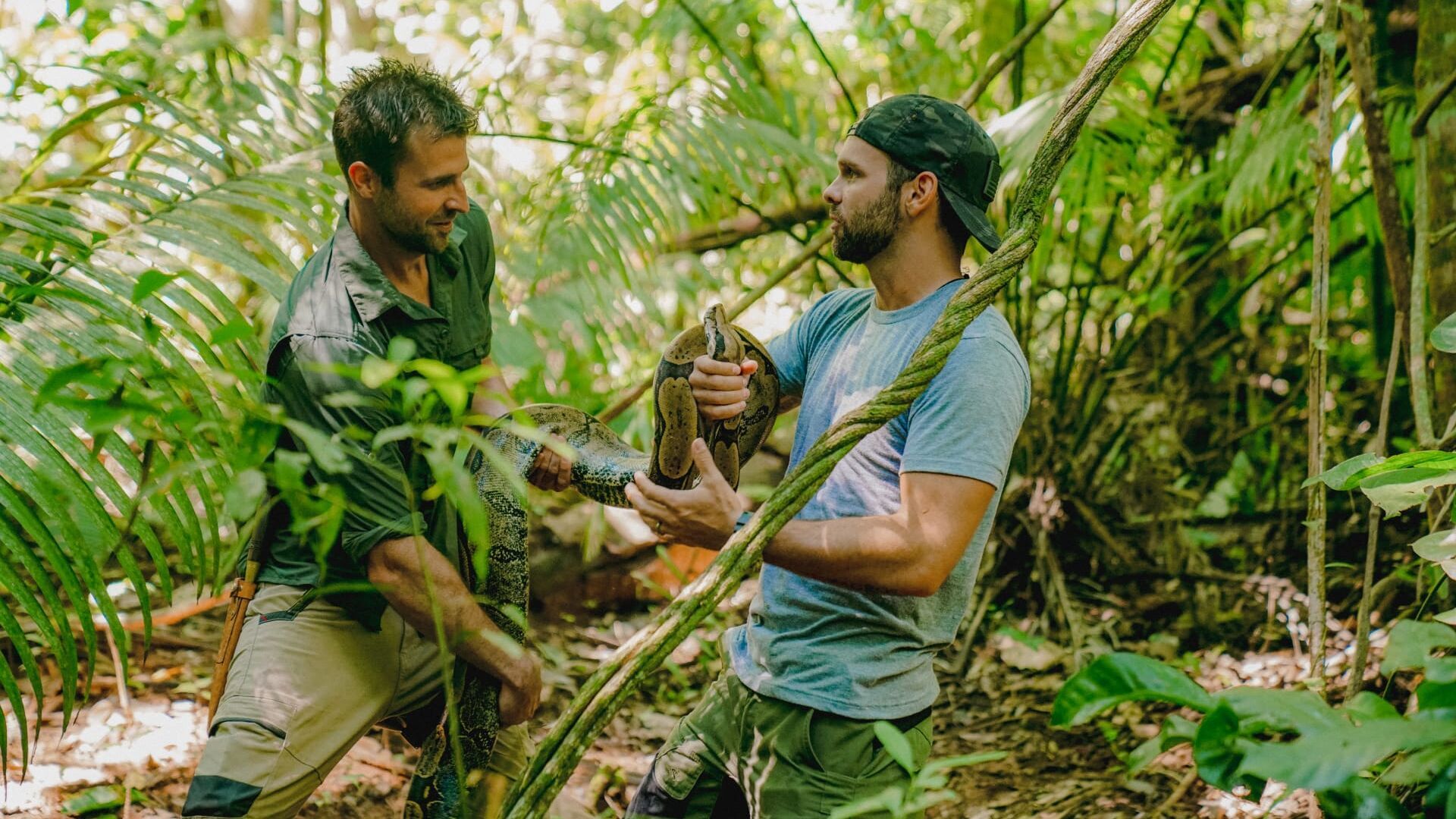 Fourmi, balle de fusil et piranhas