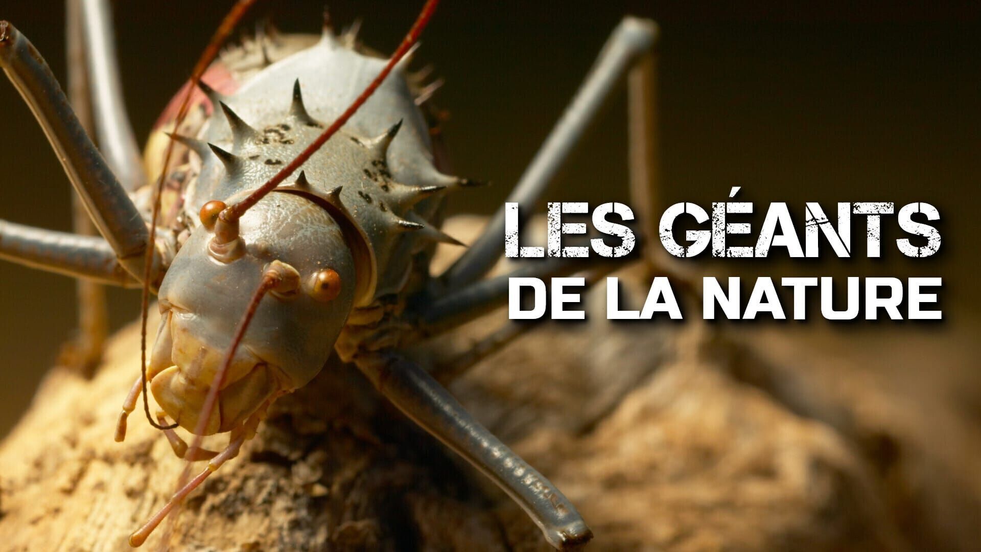 Les géants de la nature