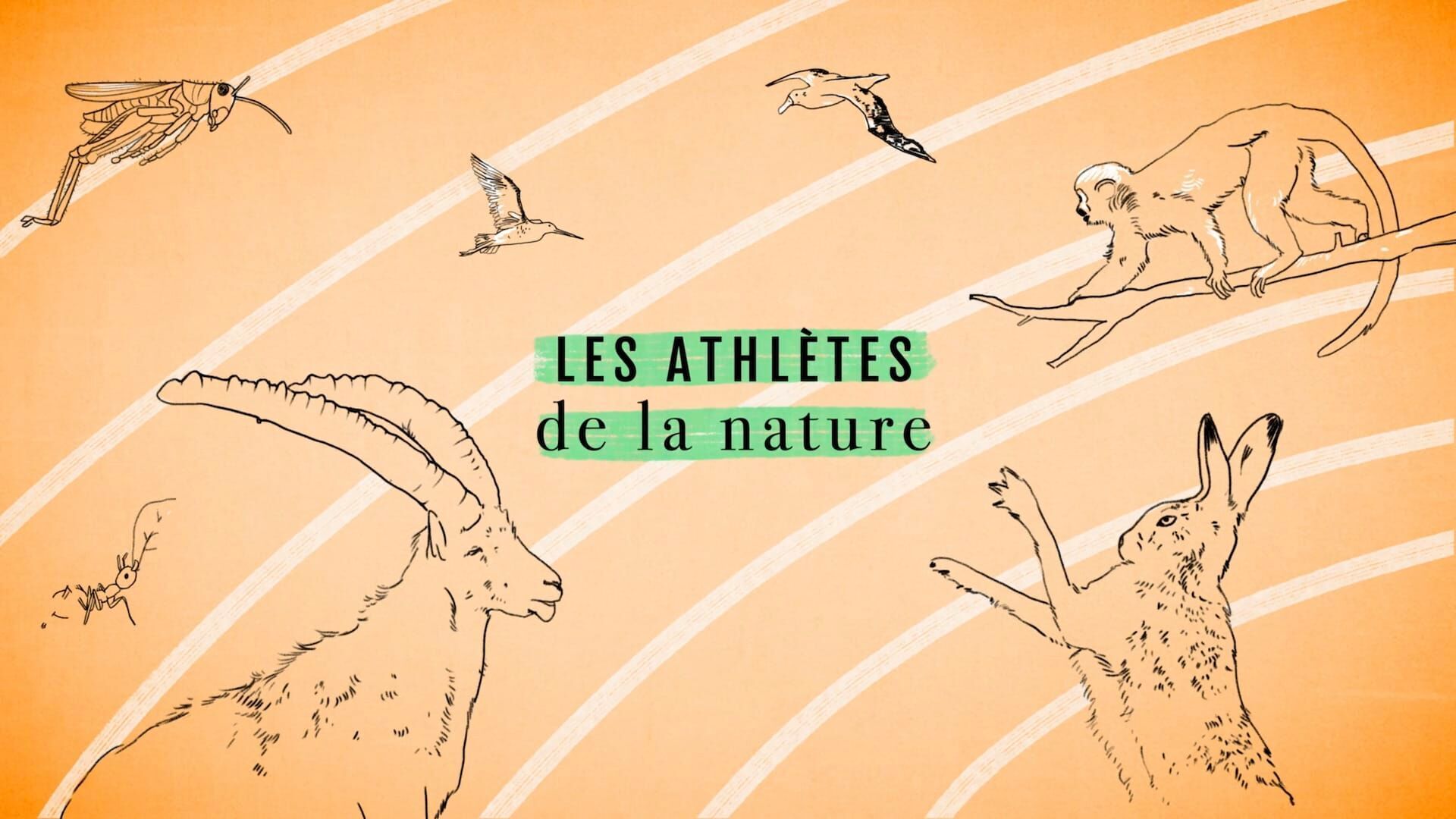 Les athlètes de la nature