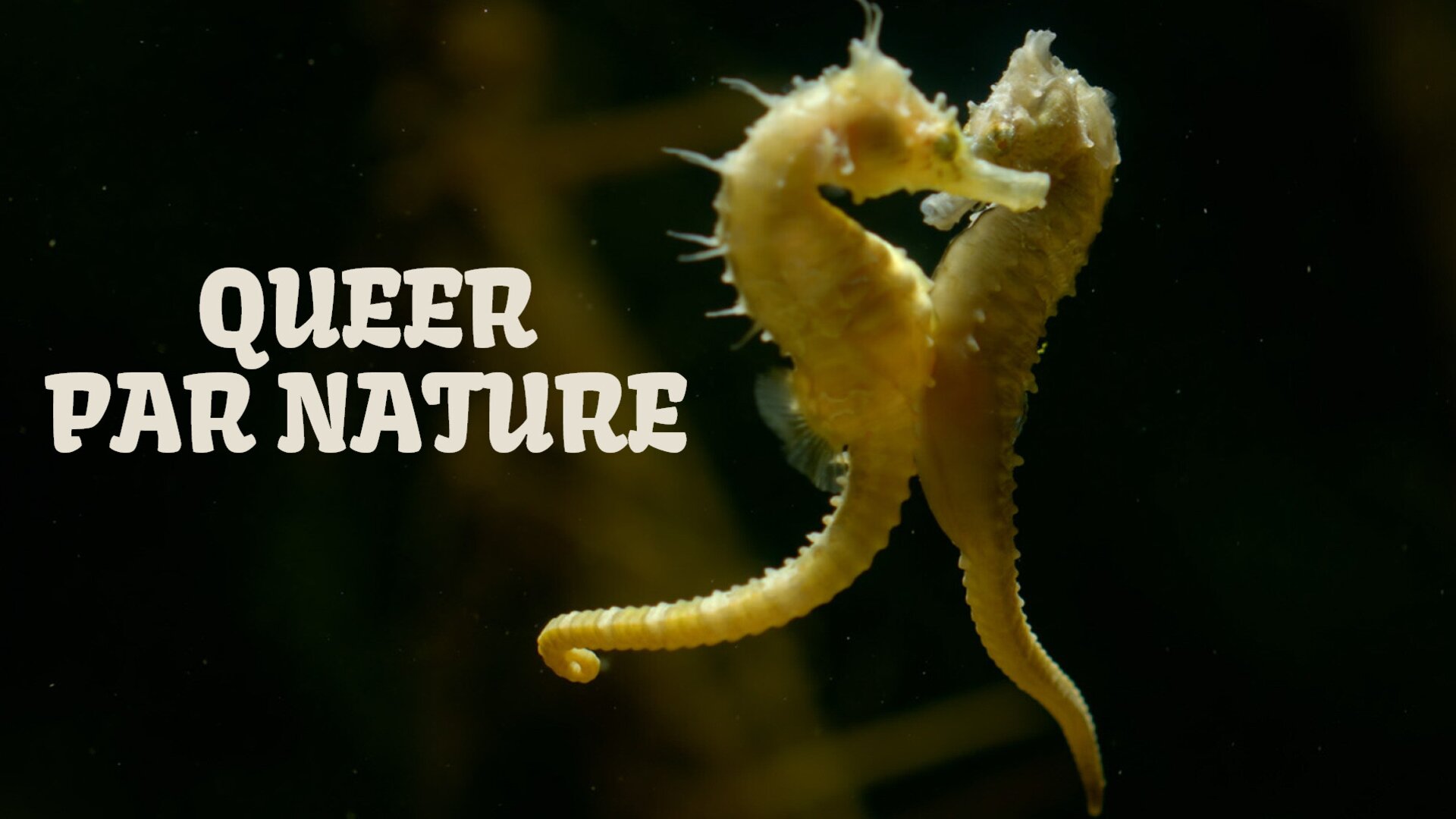 Queer par nature