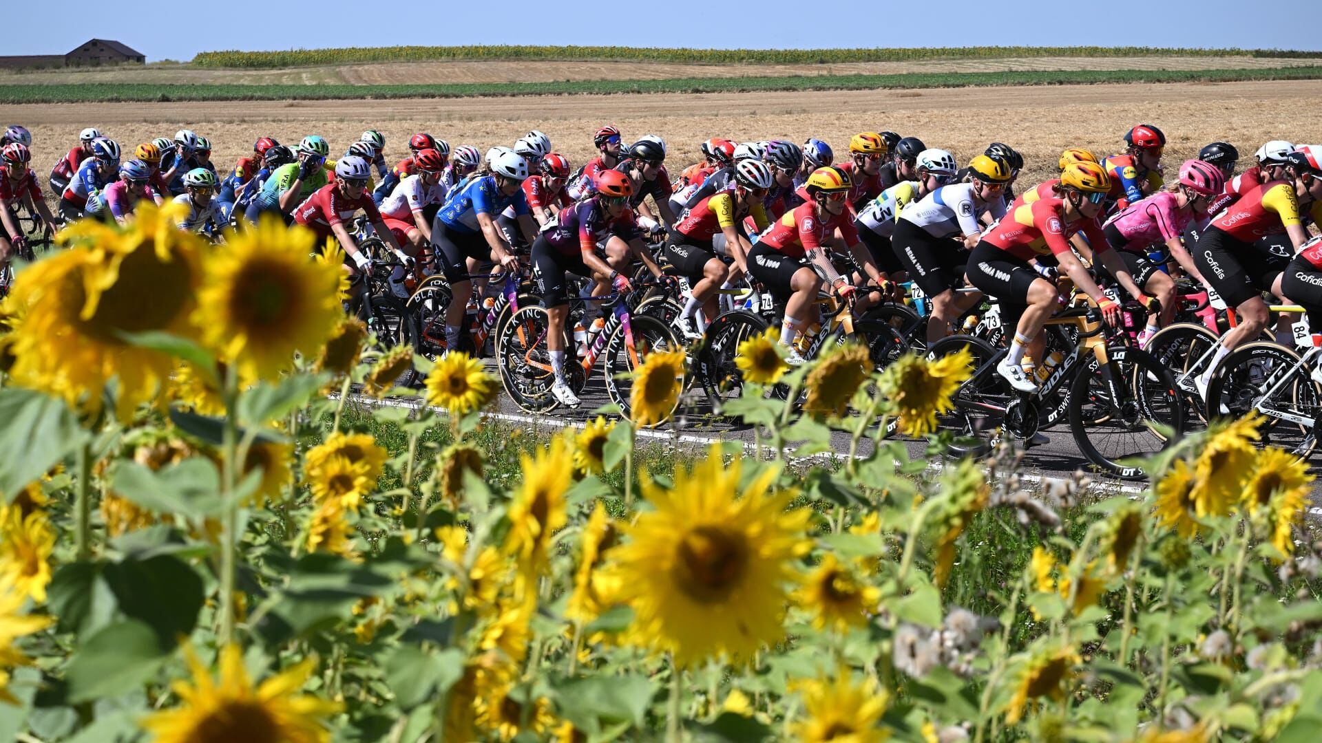 Cyclisme : Tour de Pologne Femmes