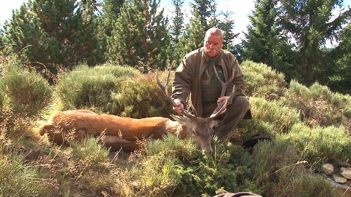 Chasse extrême du cerf