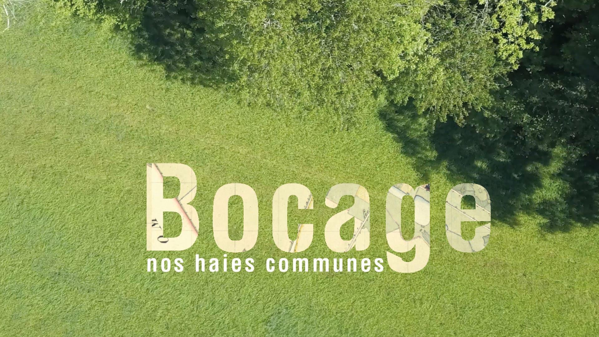 Bocage, nos haies communes
