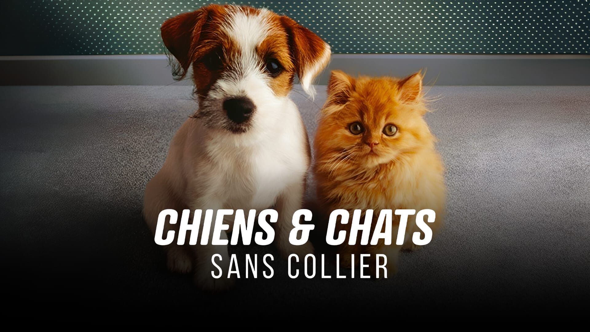 Une seconde chance pour tous