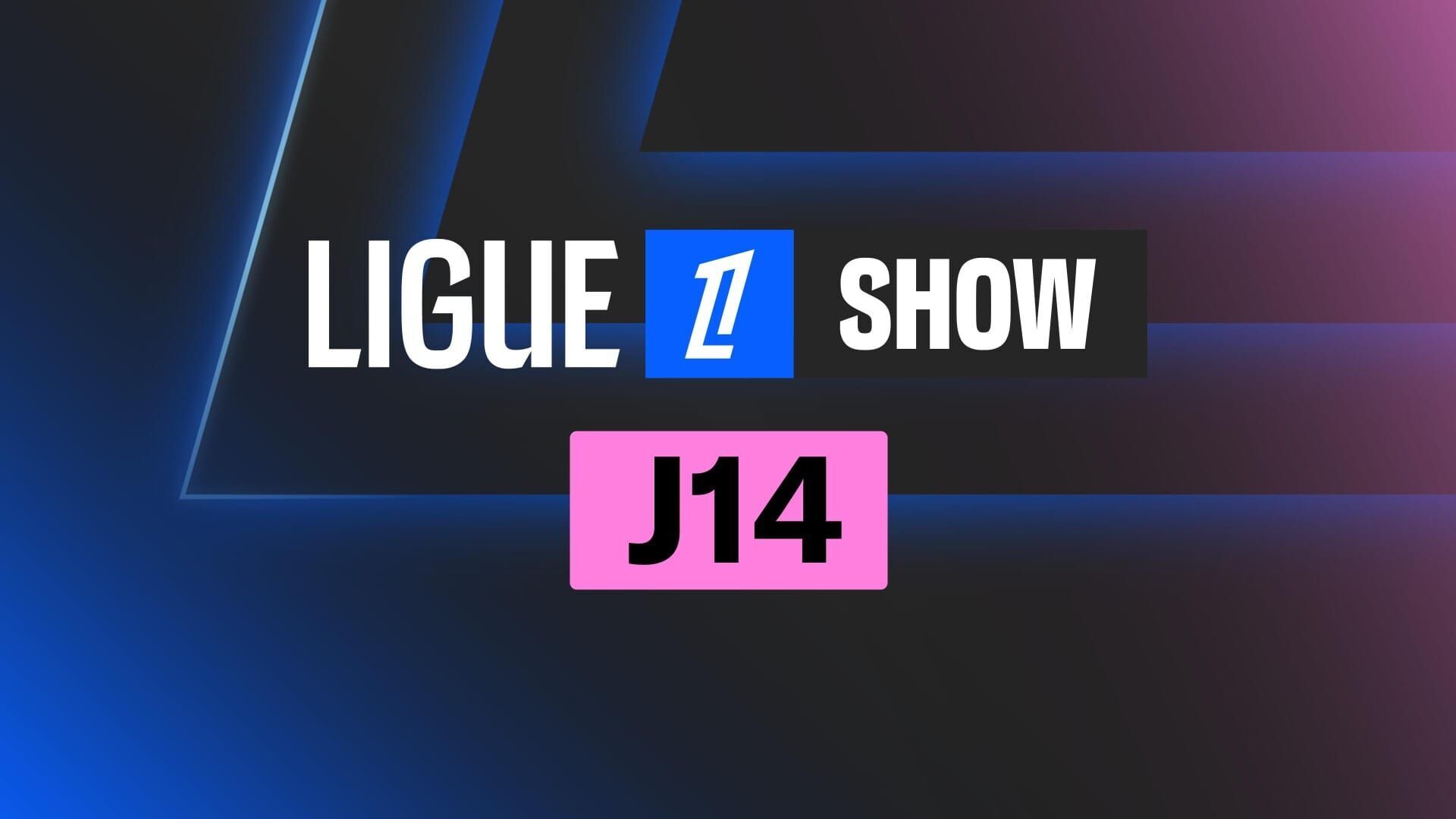 14e journée