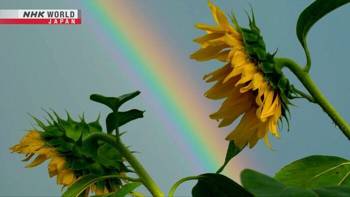 Beginning of Autumn / The 24 Solar Terms