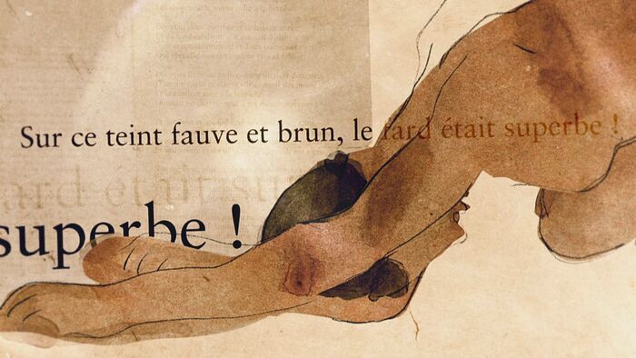 La femme sans nom : l'histoire de Jeanne et Baudelaire