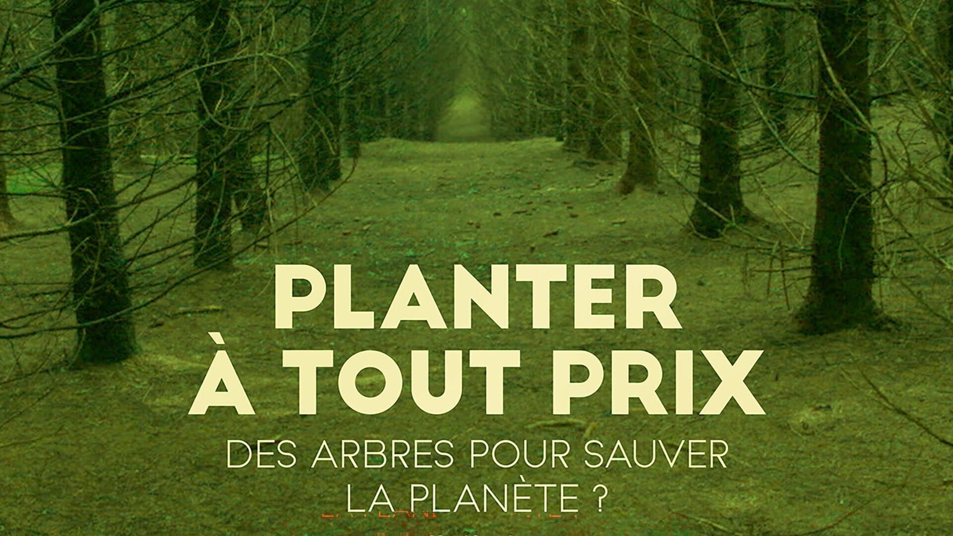 Planter à tout prix - Des arbres pour sauver la planète ?