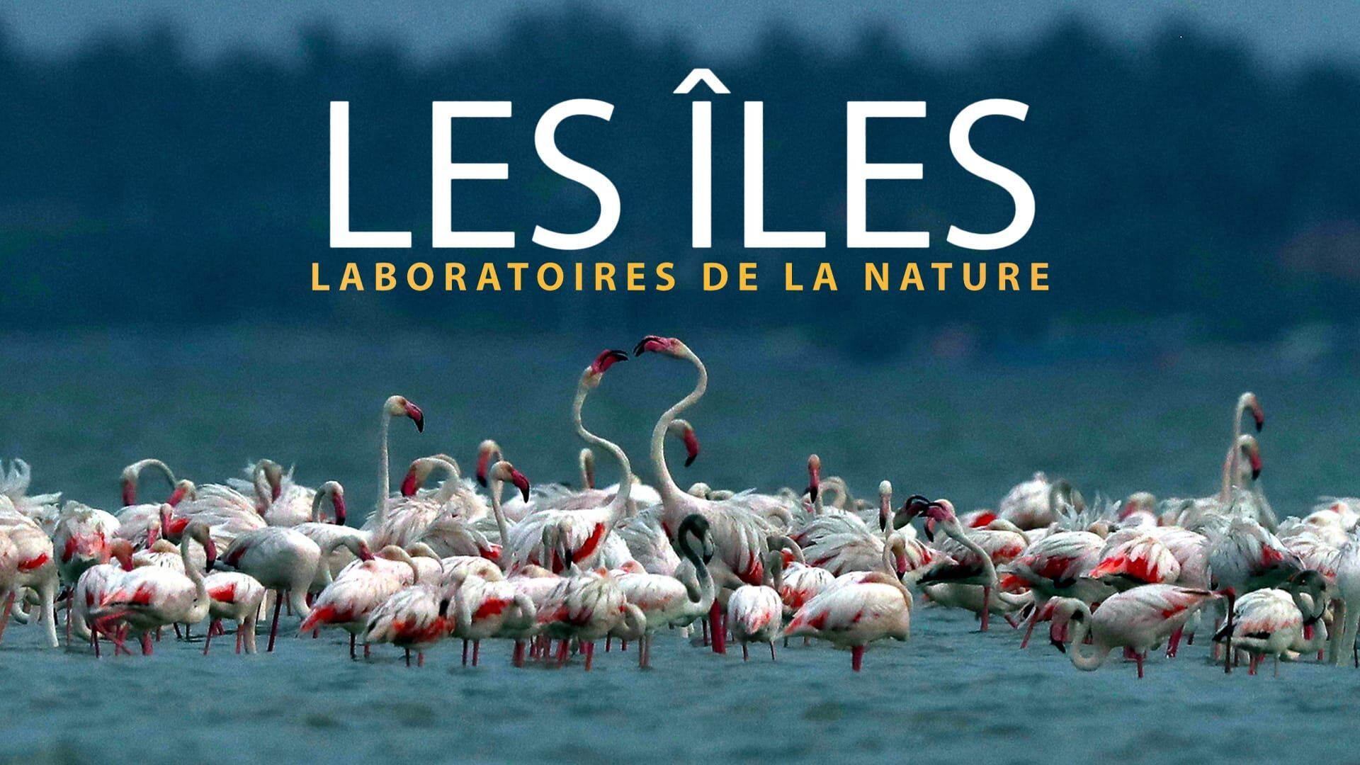 Les trésors naturels de Bornéo