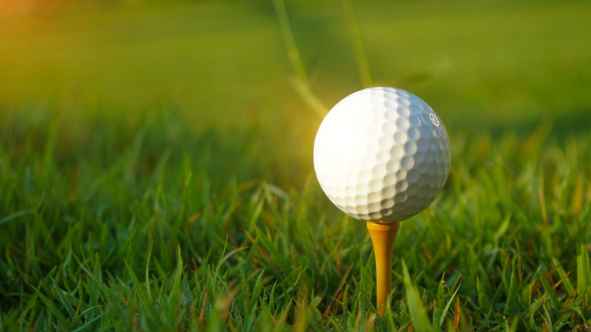 Tiger Woods, les 50 ans d'une légende