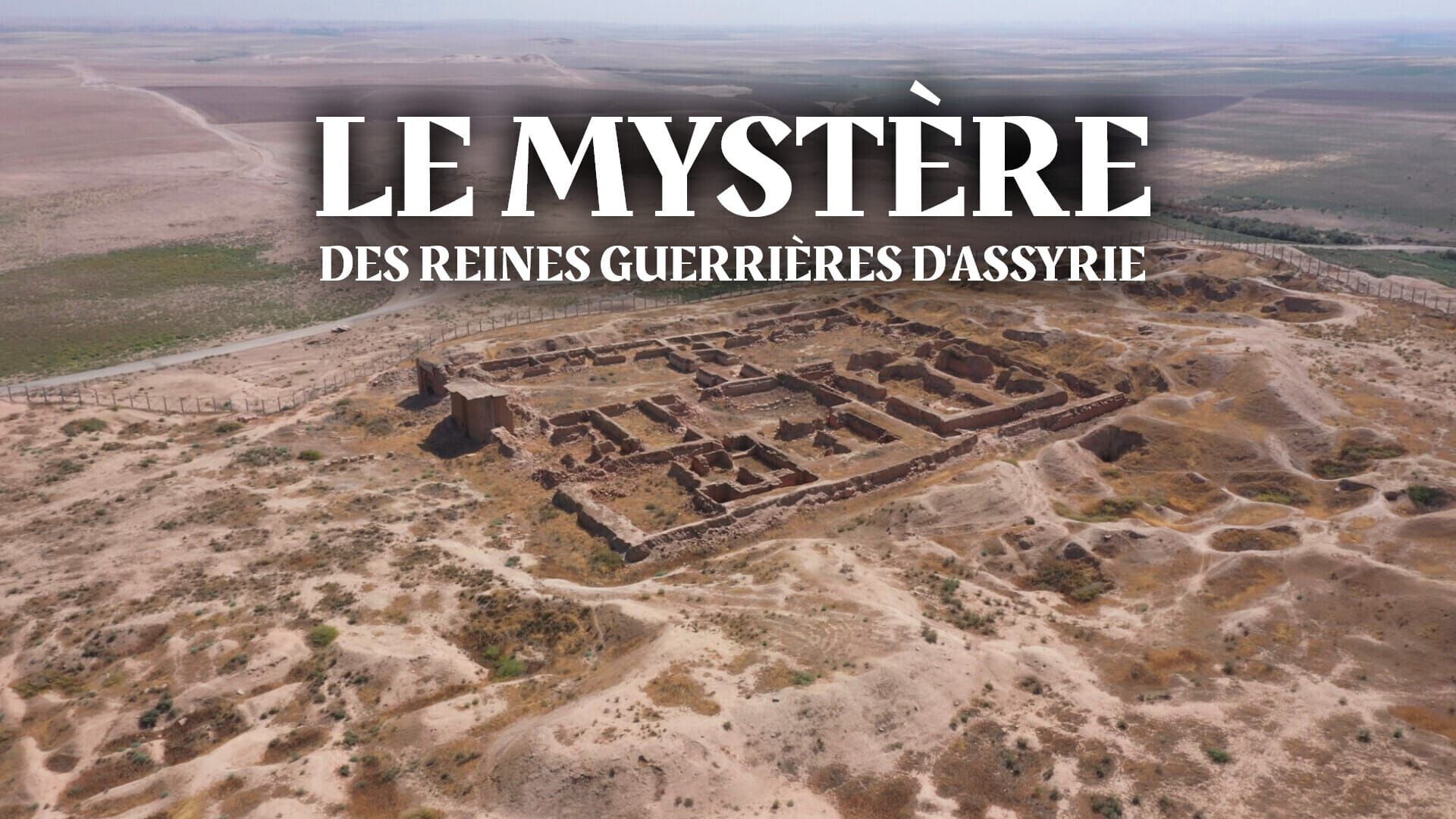 Le mystère des reines guerrières d'Assyrie