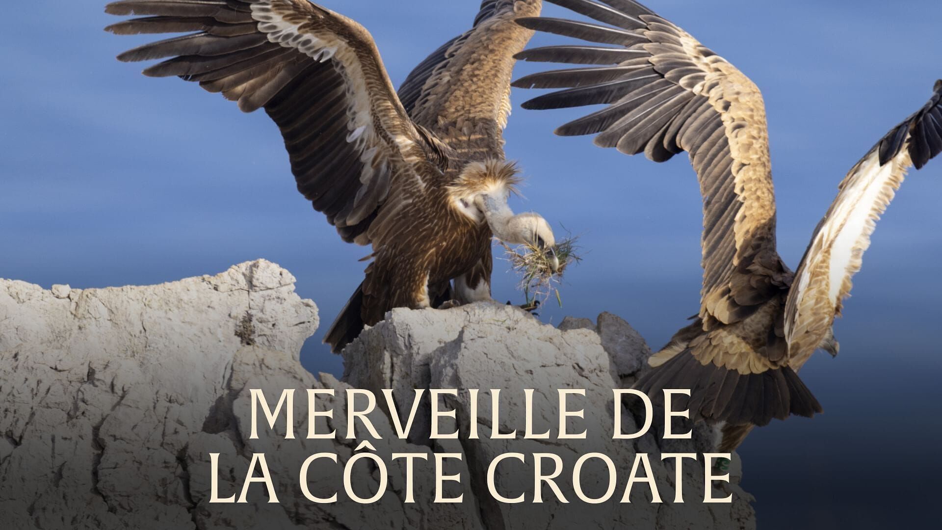 Merveilles de la côte croate : Le littoral sauvage