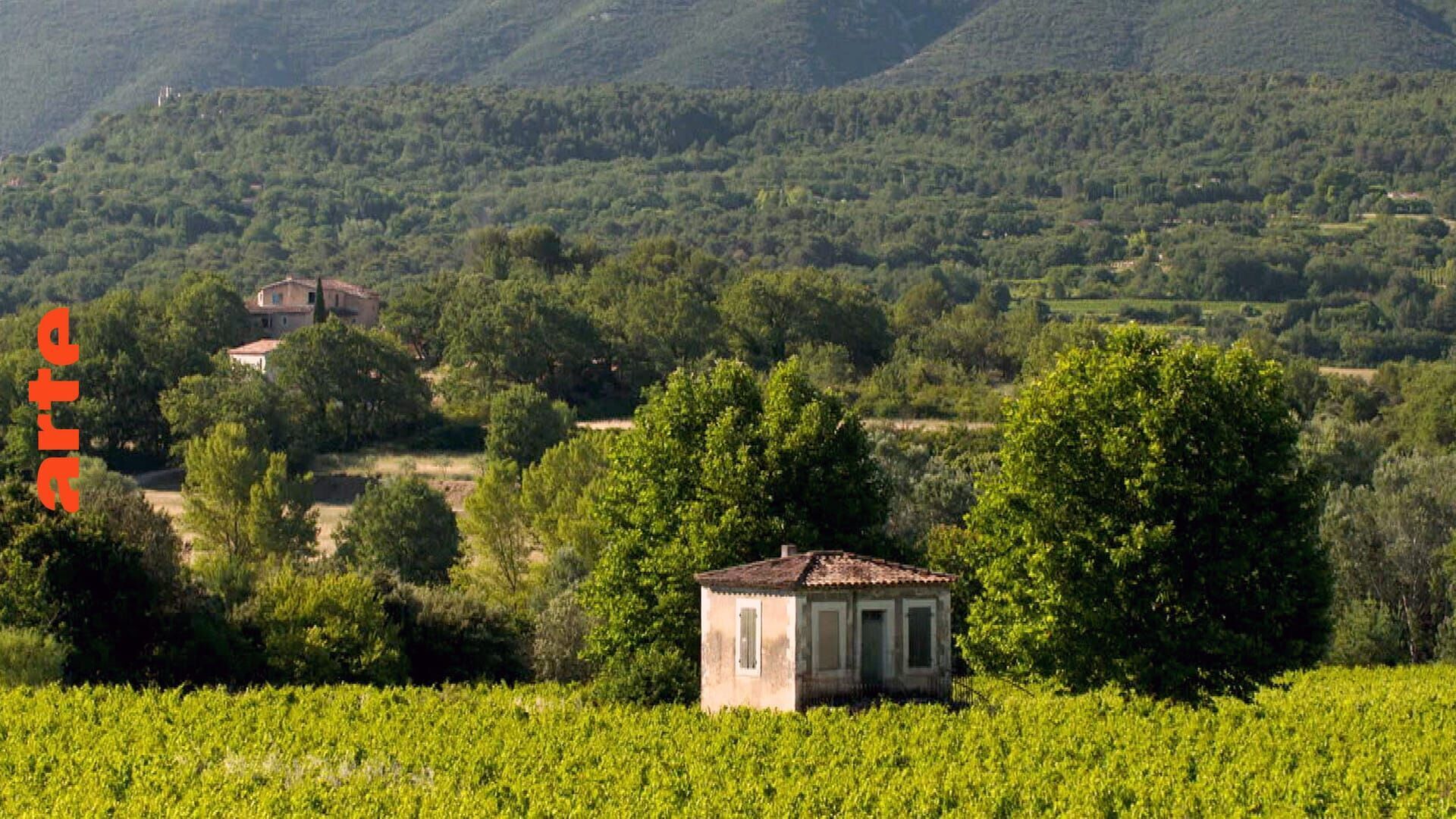 Invitation au voyage